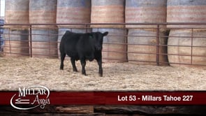 Lot #53 - MILLARS TAHOE 227