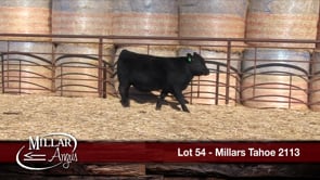Lot #54 - MILLARS TAHOE 2113