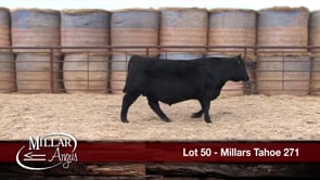 Lot #50 - MILLARS TAHOE 271