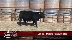 Lot #46 - MILLARS RENOWN 2163