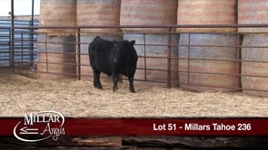 Lot #51 - MILLARS TAHOE 236