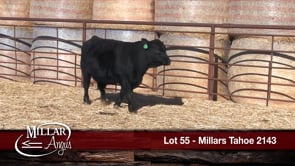 Lot #55 - MILLARS TAHOE 2143