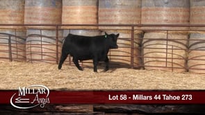 Lot #58 - MILLARS 44 TAHOE 273