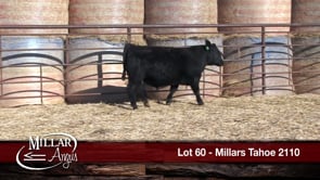 Lot #60 - MILLARS TAHOE 2110