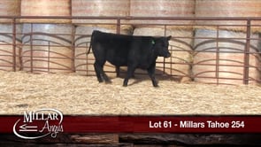 Lot #61 - MILLARS TAHOE 254