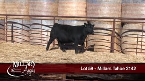 Lot #59 - MILLARS TAHOE 2142