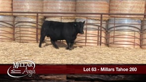Lot #63 - MILLARS TAHOE 260