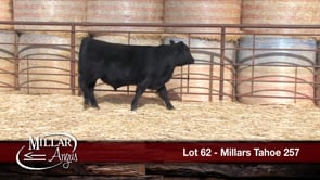 Lot #62 - MILLARS TAHOE 257
