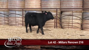 Lot #42 - MILLARS RENOWN 216