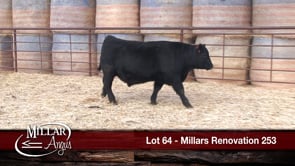 Lot #64 - MILLARS RENOVATION 253