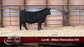 Lot #66 - MILLARS RENOVATION 218