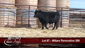 Lot #67 - MILLARS RENOVATION 269