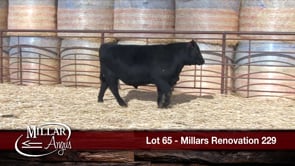 Lot #65 - MILLARS RENOVATION 229
