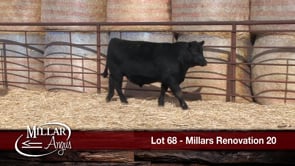 Lot #68 - MILLARS RENOVATION 20