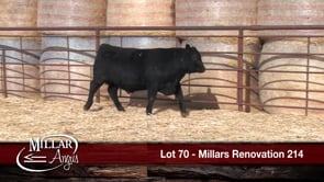 Lot #70 - MILLARS RENOVATION 214