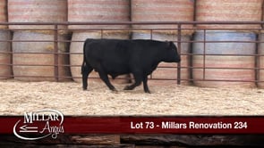 Lot #73 - MILLARS RENOVATION 234