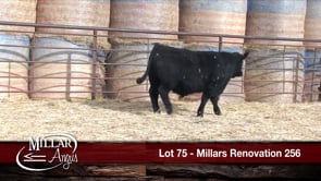 Lot #75 - MILLARS RENOVATION 256