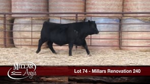 Lot #74 - MILLARS RENOVATION 240