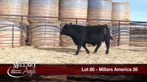 Lot #80 - MILLARS AMERICA 26