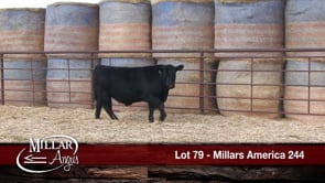 Lot #79 - MILLARS AMERICA 244