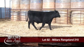 Lot #82 - MILLARS RANGELAND 210
