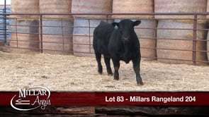 Lot #83 - MILLARS RANGELAND 204