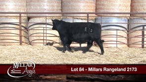 Lot #84 - MILLARS RANGELAND 2173