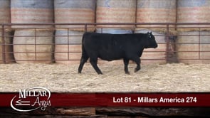 Lot #81 - MILLARS AMERICA 274