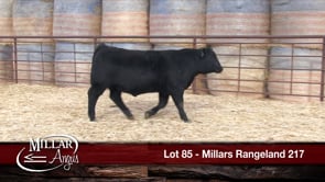 Lot #85 - MILLARS RANGELAND 217