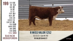 Lot #199 - R MISS VALOR 1252