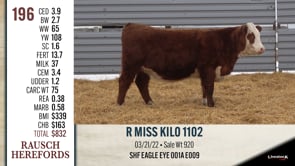 Lot #196 - R MISS KILO 1102