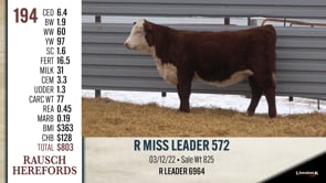 Lot #194 - R MISS LEADER 572