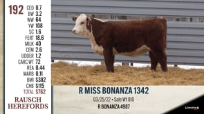 Lot #192 - R MISS BONANZA 1342