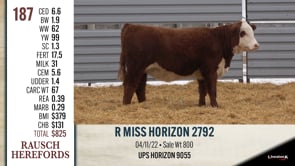 Lot #187 - R MISS HORIZON 2792