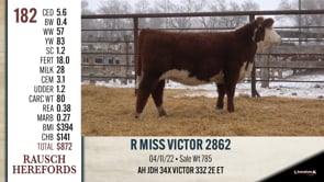 Lot #182 - R MISS VICTOR 2862