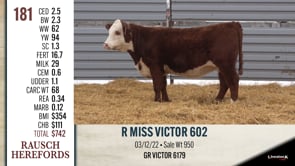 Lot #181 - R MISS VICTOR 602