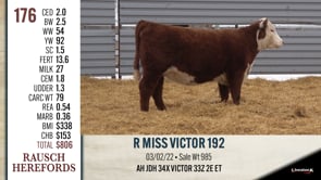 Lot #176 - R MISS VICTOR 192