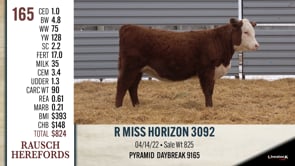 Lot #165 - R MISS HORIZON 3092