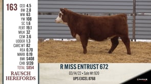 Lot #163 - R MISS ENTRUST 672