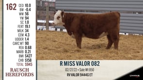 Lot #162 - R MISS VALOR 082