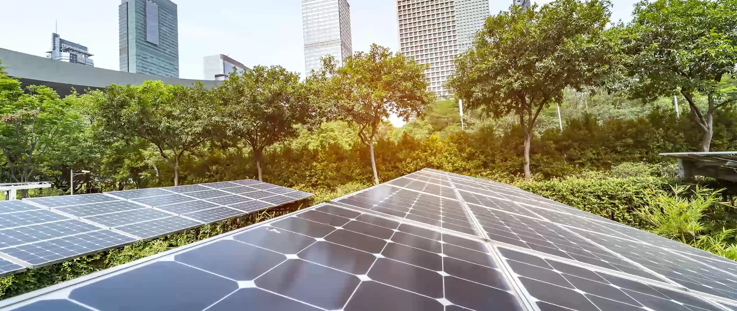 Self Solar Institucional.mp4 on Vimeo