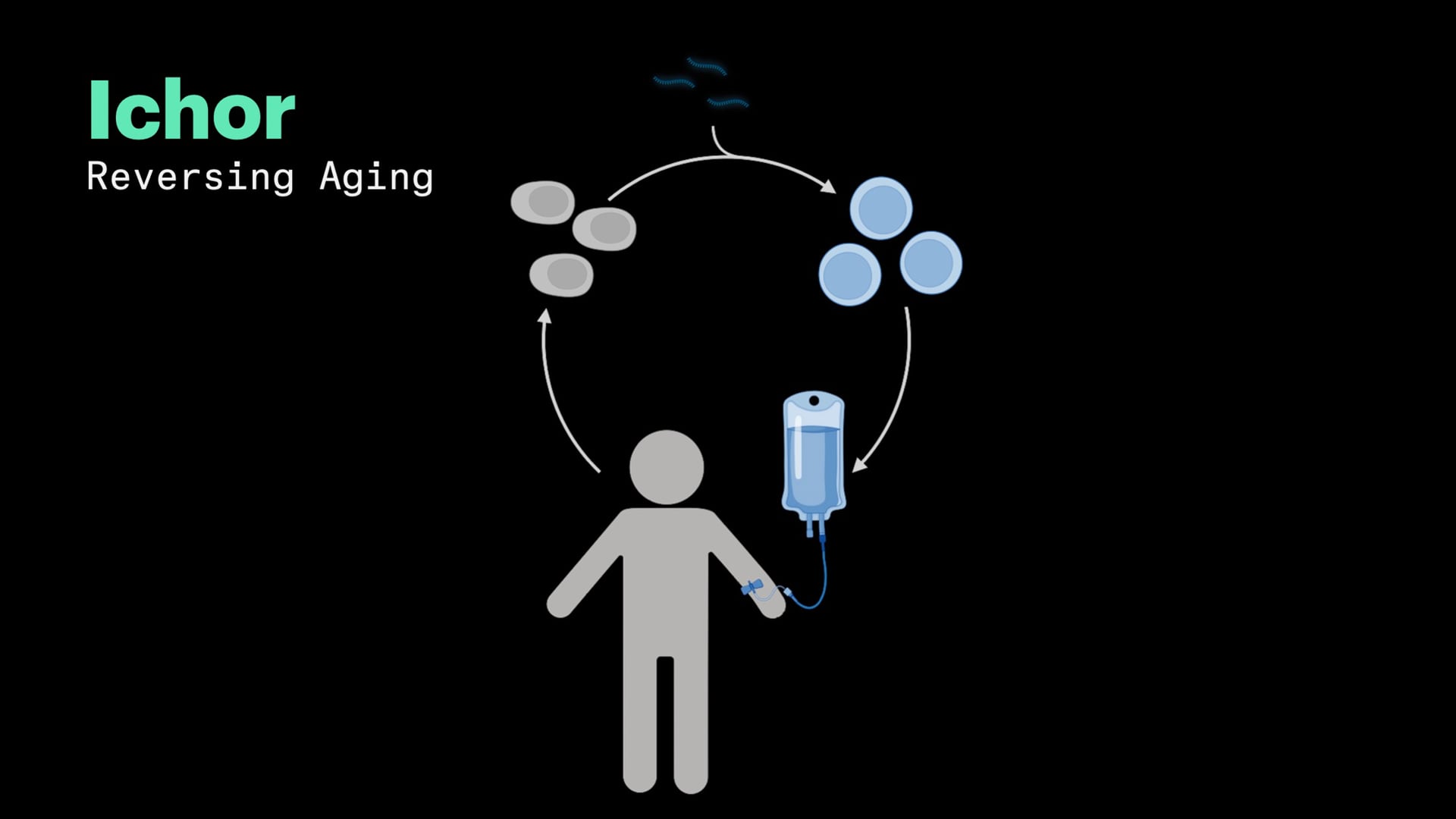 Ichor: Reversing Aging