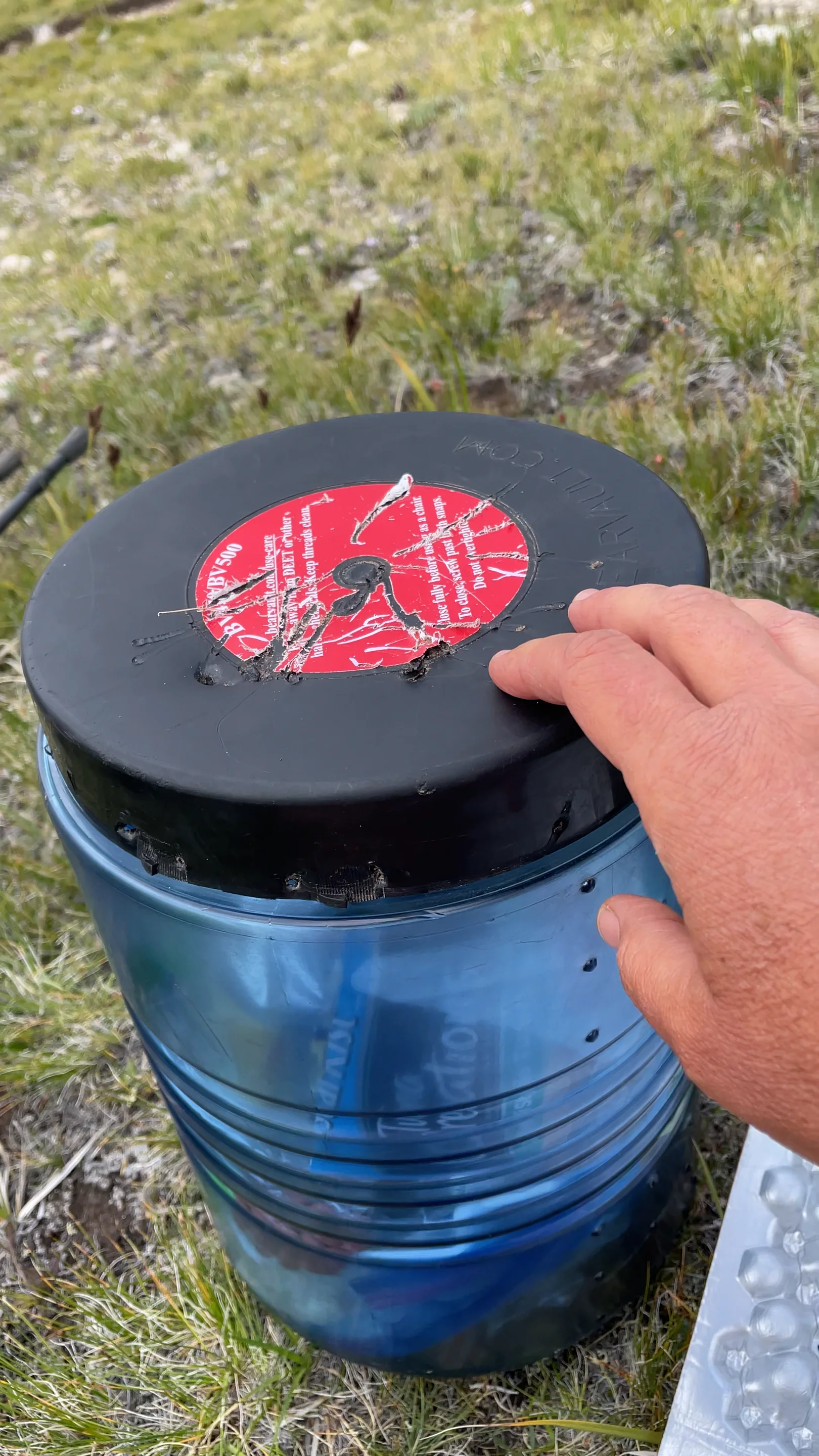 BearVault after the attack on Vimeo