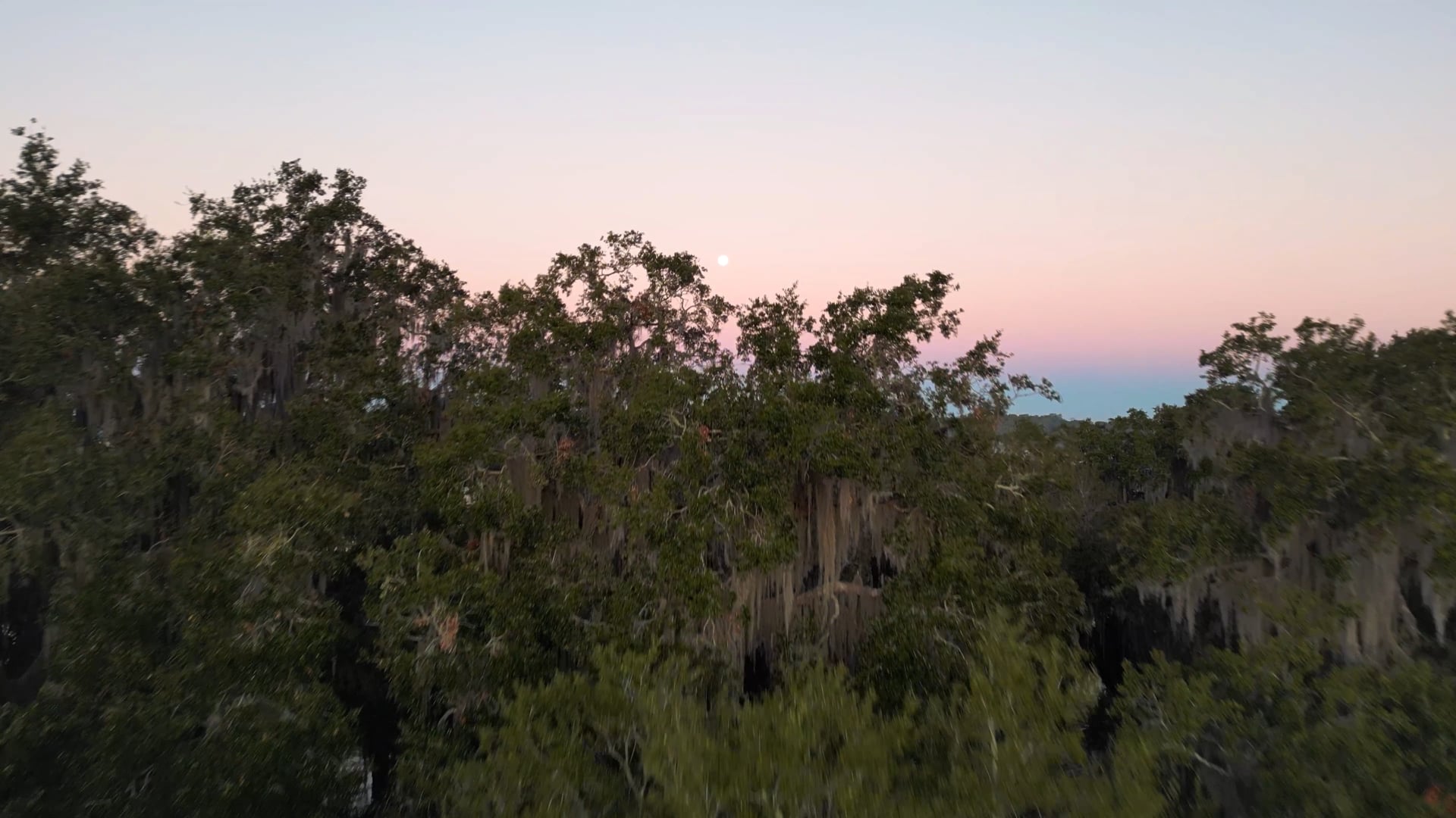 Sunrise over Lake Weir in Ocala, FL - Marion County by Justin MacDonald