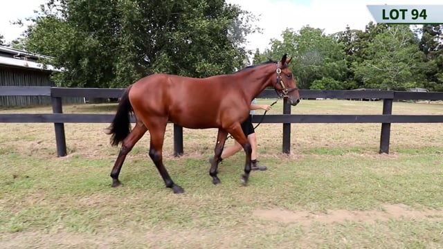 Lot 94