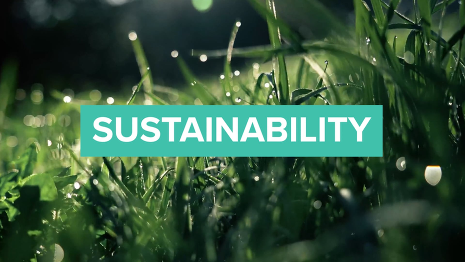 Mexico: Sustainability