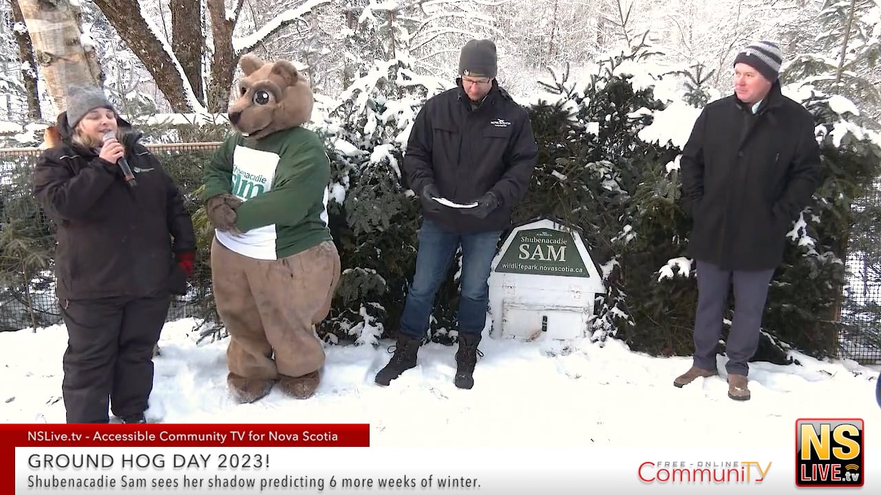 groundhog day shubenacadie sam