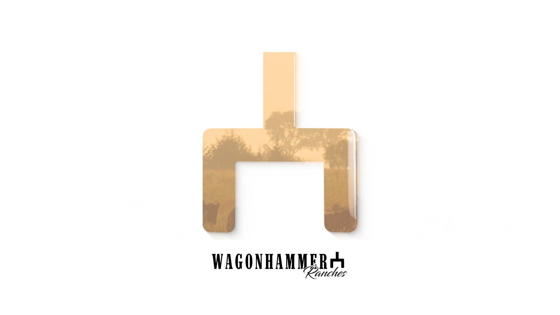 WagonHammer  |  Our Story