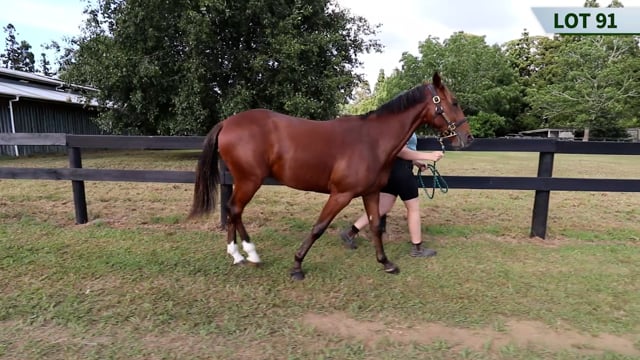 Lot 91