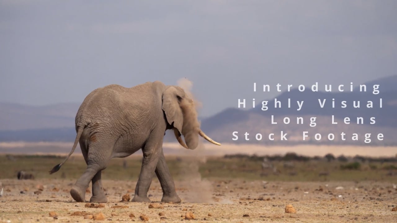 Long Lens Archive Teaser